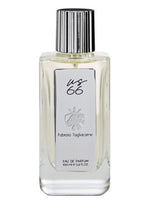 US66 Omnia Profumi for men