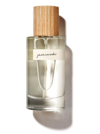 Collages Jacaranda Natura Perfume for Women and Men - Best Unisex Fragrance - Buy Online Now!