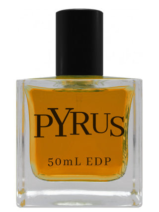 Unisex Pyrus Criminal Elements Perfume - Fragrance for Women and Men