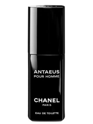 Antaeus Chanel for Men Perfume - Best Fragrance for Men | Shop Now