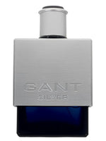 Gant Silver Gant for men