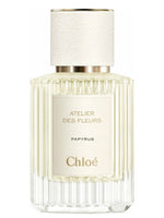 Papyrus Chloé for women and men