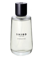 Introduction Shiro for women and men