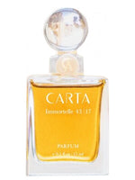 Immortelle 43 | 17 Carta for women and men