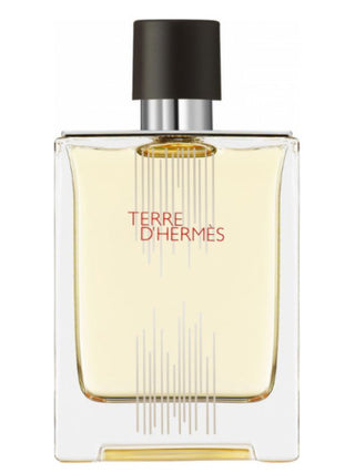 Terre dHermes Flacon H 2021 Eau de Toilette Hermès for men - Best Mens Perfume Image