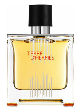 Terre dHermes Flacon H 2021 Parfum Hermès for men - Best Mens Fragrance Image