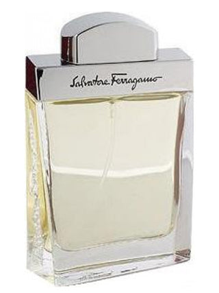 Salvatore Ferragamo pour Homme for men perfume image