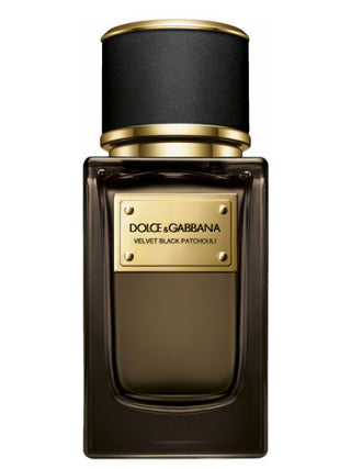 Velvet Patchouli Dolce&Gabbana Perfume for Women and Men - Luxury Fragrance Bottle Image