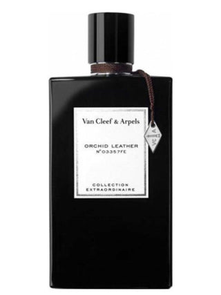 Orchid Leather Van Cleef & Arpels Perfume for Women and Men - Luxury Fragrance Image