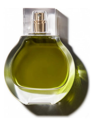 Olive KKW Fragrance for Women and Men - Exquisite Unisex Perfume Bottle - Buy Now