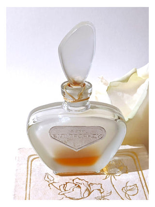 Белые розы - White Roses Red Carnation perfume for women | Exquisite floral fragrance | Shop now