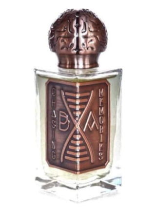 Chasing Memories Broken Anatomy Perfumes for Women and Men - Best Fragrance Image