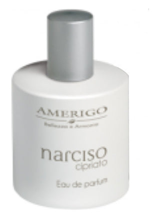 Womens Narciso Cipriato Amerigo Perfume - Elegant Fragrance Bottle | Buy Now