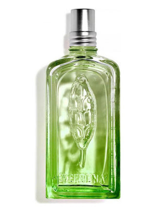 Verveine Cactus LOccitane en Provence Perfume for Women and Men - Refreshing Citrus Fragrance | Buy Online