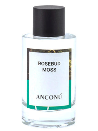 Rosebud Moss Anconu Unisex Perfume - Best Fragrance for Men and Women