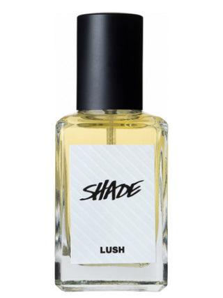 Shade Lush Unisex Perfume - Best Fragrance for Women and Men - Buy Online Now