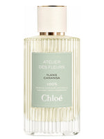 Ylang Cananga Chloé for women and men