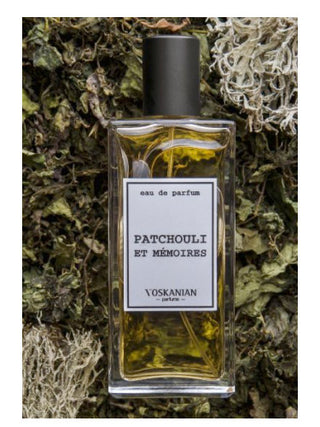 Patchouli et Memories Voskanian Parfums Unisex Perfume - Best Fragrance for Women and Men