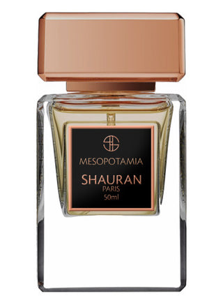 Mesopotamia Shauran unisex perfume - captivating fragrance for women and men | Shop now