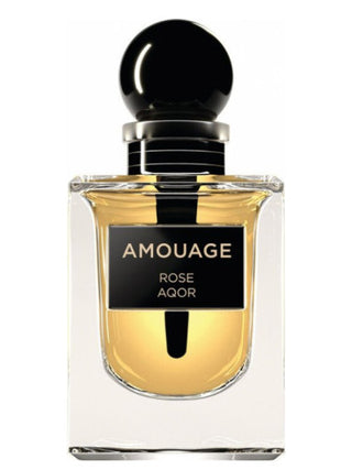 Rose Aqor Amouage Unisex Perfume - Exquisite Fragrance for Women and Men