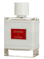 Evodia Nuancielo for women and men