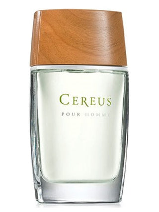 Unisex Cereus No. 6 Perfume for Women and Men - Best Fragrance 2021