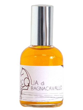 Acqua di Bagnacavallo Olfattiva Unisex Perfume - Luxury Fragrance for Men and Women | Buy Online