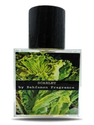 Scarlet Bahfamsn Fragrance for Women and Men - Best Unisex Perfume - Buy Online Now