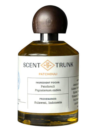 Patchouli Scent Trunk Unisex Perfume - Fragrance for Women and Men | Best Quality Perfume Image