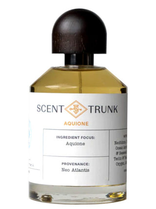 Aquione Scent Trunk Unisex Perfume - Best Fragrance for Women and Men