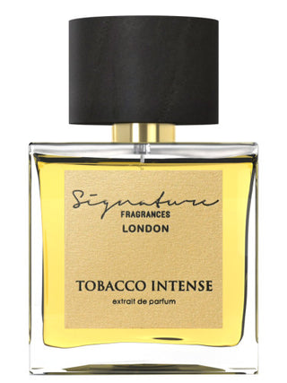 Mens Tobacco Intense Signature Fragrances - Best Perfume for Men - Buy Now