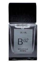 Molecule Ziemia B 02 BLAK for women and men