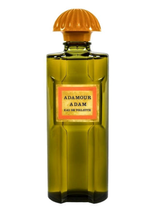 Adamour Adam for Women Perfume - Best Fragrance for Women - Buy Online Now!