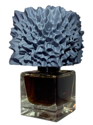 Monoliths & Dimensions Phronema Perfumes for Women and Men | Exquisite Fragrance | Buy Online Now