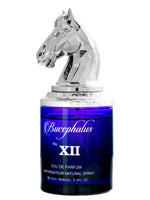 Bucephalus XII Armaf for men