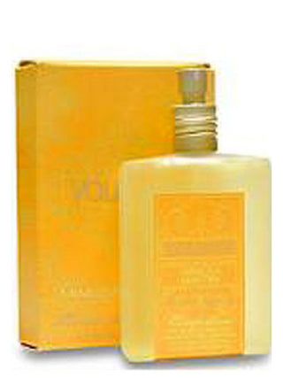 Womens Mimosa Martini Voluspa Perfume Image