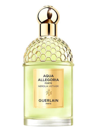 Unisex Aqua Allegoria Forte Nerolia Vetiver Guerlain Perfume - Fragrance for Women and Men