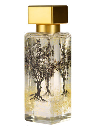 Sidra Al-Jazeera Perfumes for Women and Men - Exquisite Fragrance - Buy Online