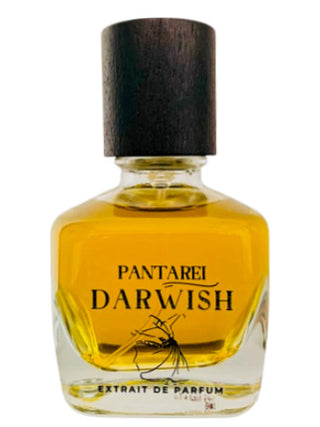 Mens PantaRei Darwish Perfume - Captivating Fragrance for Men | Shop Now