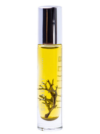 Unisex So Earthy Zenami Perfume - Best Fragrance for Women and Men