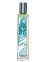 Water Ivy Brocard for women