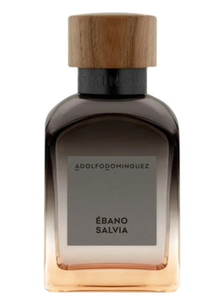 Ébano Salvia Adolfo Dominguez Mens Perfume - Exquisite fragrance for men in a sleek bottle | Buy Now