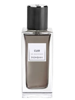 Cuir (2023) Yves Saint Laurent for women and men