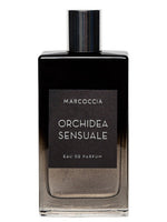 Orchidea Sensuale Marcoccia for women and men