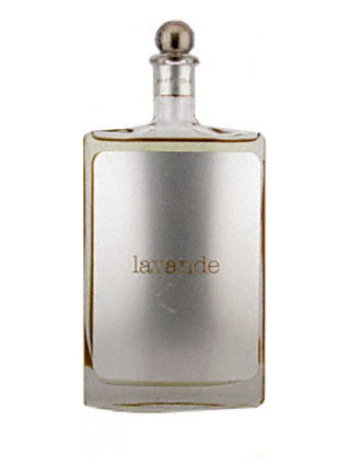 Norma Kamali Lavande Perfume for Women - Elegant Floral Fragrance - Buy Online Now!