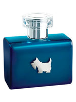 Terrier Blue Ferrioni for men