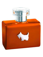 Terrier Orange Ferrioni for men