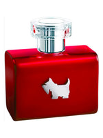 Terrier Red Ferrioni for women