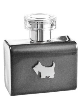 Terrier Grey Ferrioni Mens Perfume - Elegant and Masculine Fragrance | Buy Online Now