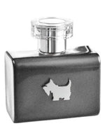 Terrier Grey Ferrioni for men